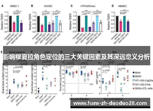 影响穆夏拉角色定位的三大关键因素及其深远意义分析
