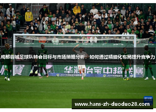 成都蓉城足球队转会目标与市场策略分析:如何通过精细化布局提升竞争力 成都蓉城足球队转会目标与市场策略分析:如何通过精细化布局提升竞争力